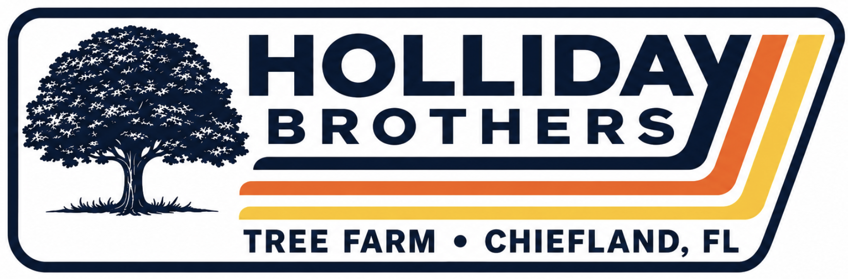 Holliday Brothers tree farm, Chiefland, Florida