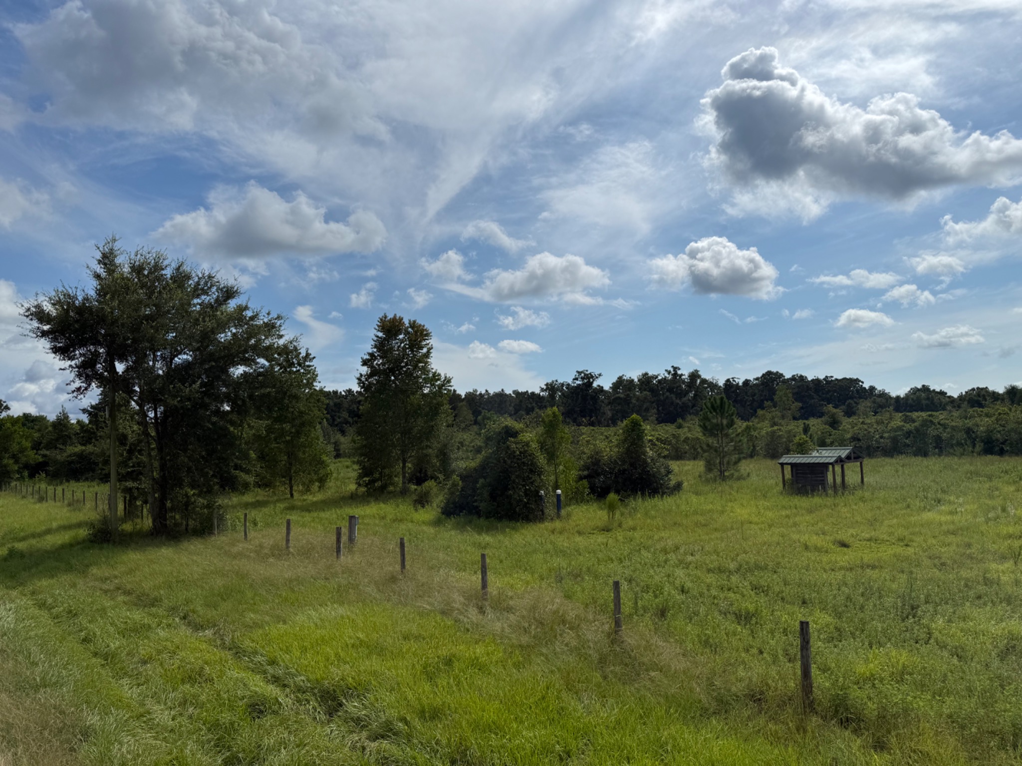 Grassy land and a small shelter before the nursery build-out
