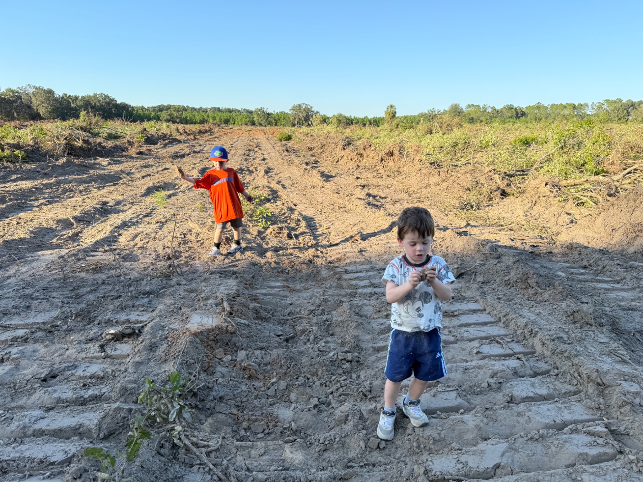 Two boys exploring the newly prepared ground at the farm