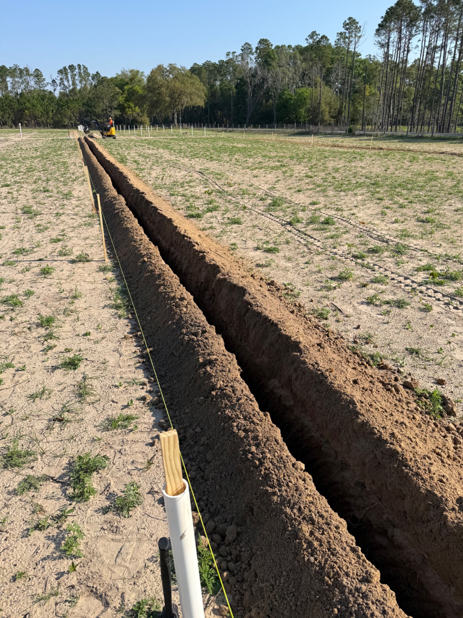 A long irrigation trench beside marked nursery rows